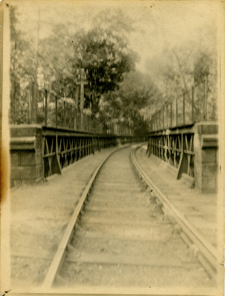 Bridge over Tayfield Den